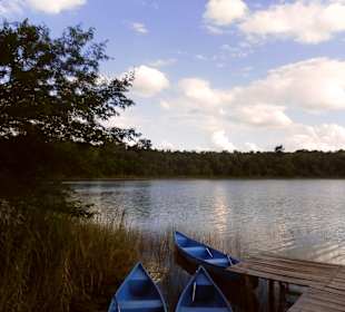 Lagune