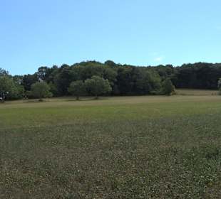 Wandertour Greifensteinrunde