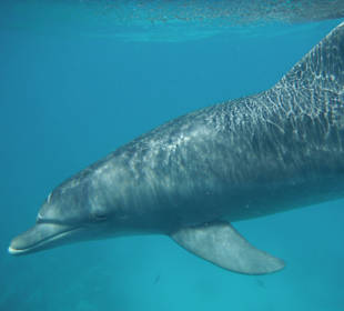 Er hat uns angelacht