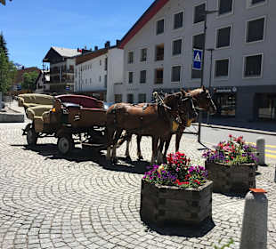 Lenzerheide Wandern