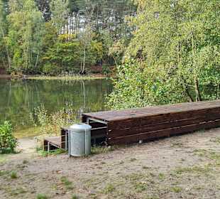 Untere Allerniederung bei Boye 