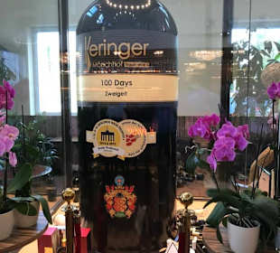 Weinkompetenz_MOUTON-MARGAUX-PINGUS..usw.