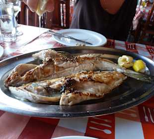 Restaurant Amigo Camilo