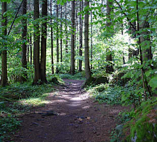 Nähere Hotelumgebung