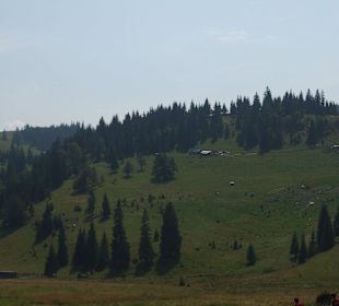 Parcul Natural Apuseni 