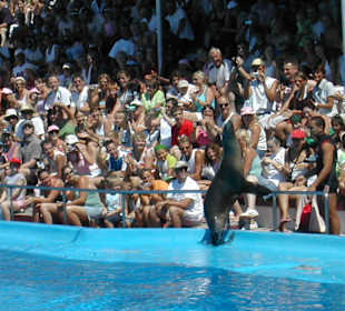 Marineland