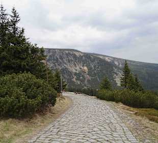 Berg Schneekoppe/Śnieżka