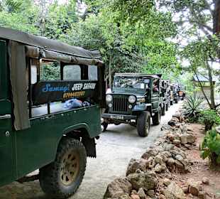 Vor dem Park warten die Jeeps