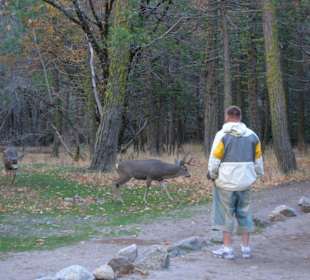 Erste Kontakte knüpfen