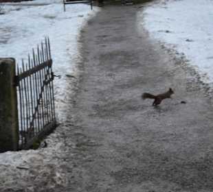 Freilichtmuseum Skansen