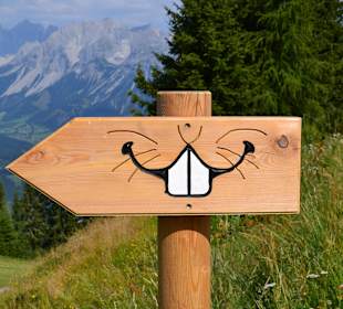 Hopsiland, ein Muss für Kinder