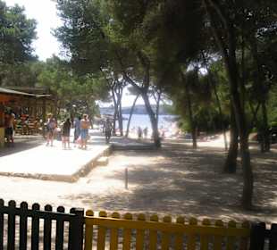 Die Strandbar