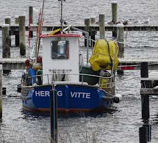 Hiddensee