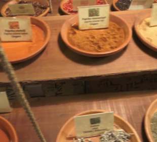 Spicy's Gewürzmuseum