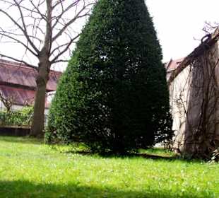 Dom-Garten