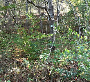 Wandertour "Rund um den Rossberg" Öschingen