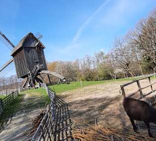 Freilichtmuseum Hessenpark 