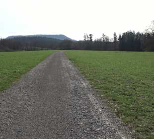 Gomaringer Rundweg - Zu den Giganten im Wald