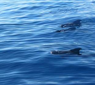 Widoki w trakcie rejsu