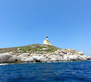 Insel Cavoli
