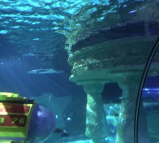  Lego X-Treme - Legoland Atlantis by SEA LIFE