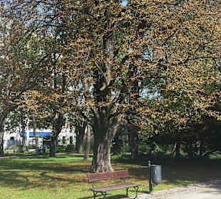 Park Dreszera
