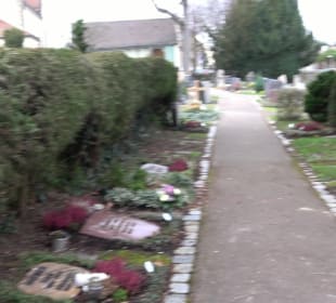 Friedhof St. Bernhardt