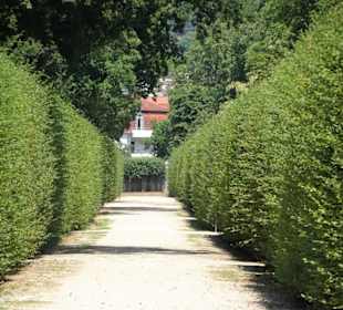 Unterwegs im Rokoko-Hofgarten