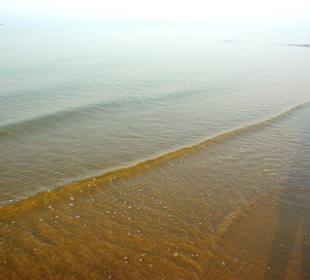 Strand in Bibione Juni 2012