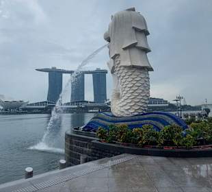 Merlion MBS