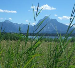 Wandern um den Hopfensee