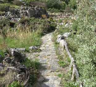 Alpinum