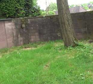 Kriegerdenkmal Grüntal