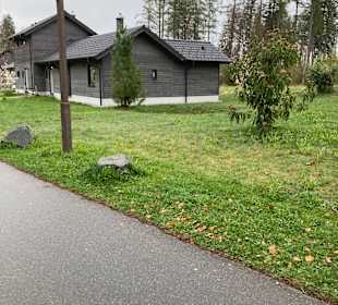 Zimmer Center Parcs Park Allgäu