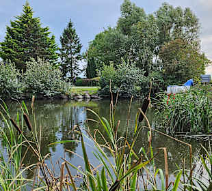 Wandern Fehmarn