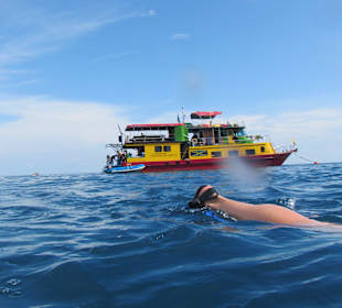 Andaman Snorkel Discovery