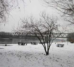 Am Rhein im Winter