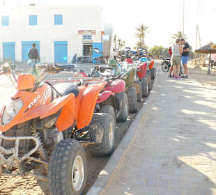 Eine tolle Quad-Tour