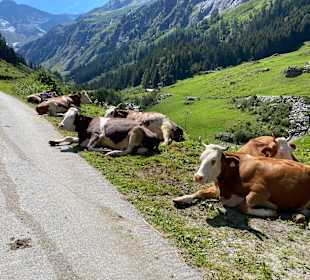 Radfahren Finkenberg