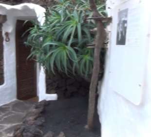 Jameos del Agua 