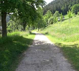 Wanderung Klosterquelle Klosterreichenbach
