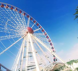 The Wheel of Venice