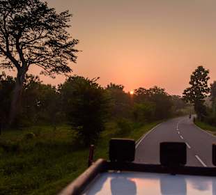 Udawalawe Nationalpark