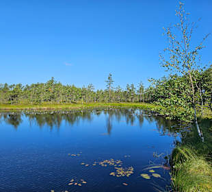 Mukri Bog