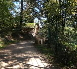 Natur-Hochseilgarten Triberg
