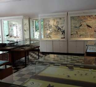 Blick in die Museumsräume