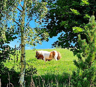 Wandern Nova Ponente / Deutschnofen