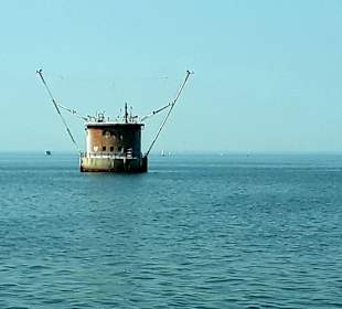 Apollo Tagestour zur Greifswalder Oie 