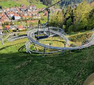 Wandern Todtnauberg