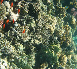 Impressionen von Riff